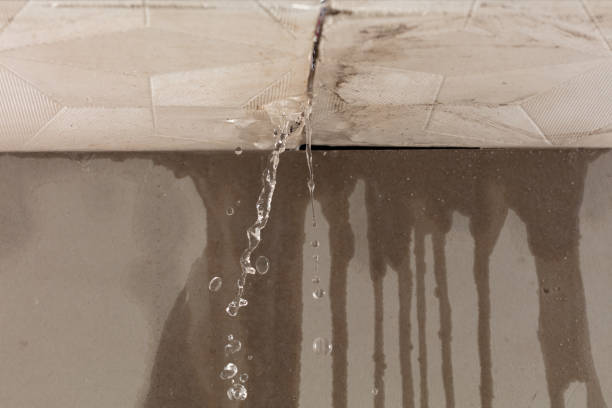 Professional Burst Pipe Cleanup technician working in Cashion, AZ